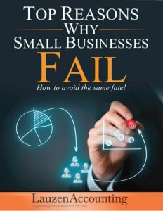 Lauzen Accounting eBook